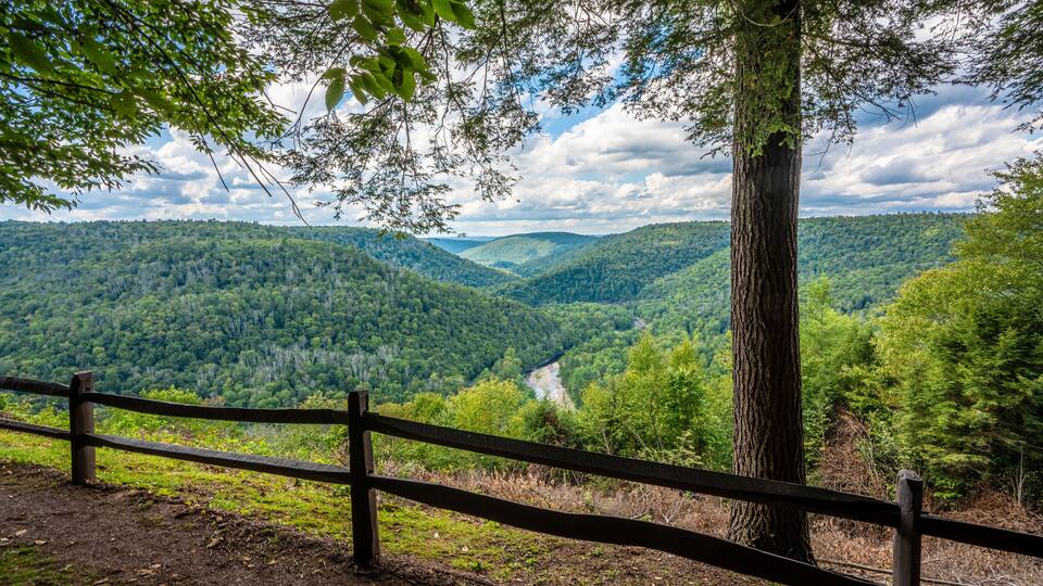 View from Canyon Vista overlook in Worlds End State Park in Forksville, PA