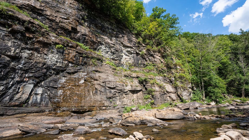 Loyalsock Creek in Worlds End State Park in Forksville, PA