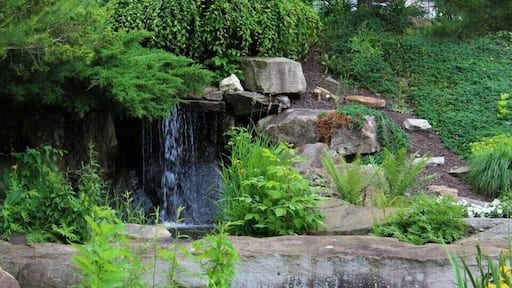 The Rock Garden at the Foxburg Inn
