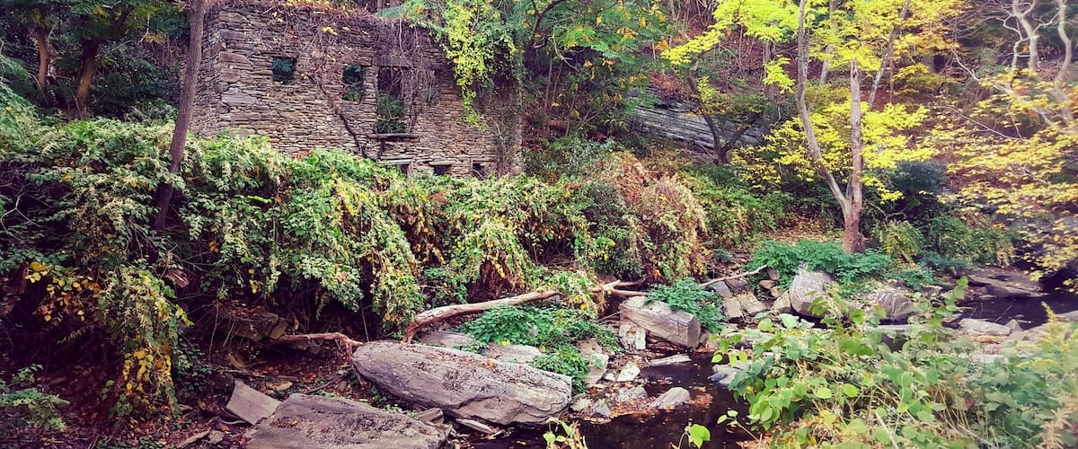 A stone ruin surrounded by dense forest and a small stream.