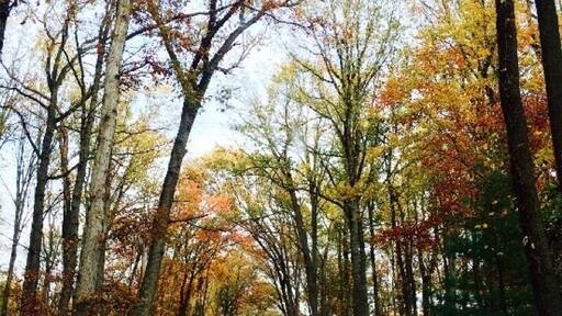 Best fall photo I've ever taken 😊 #Bestof5