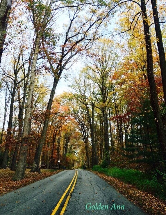 Best fall photo I've ever taken 😊 #Bestof5