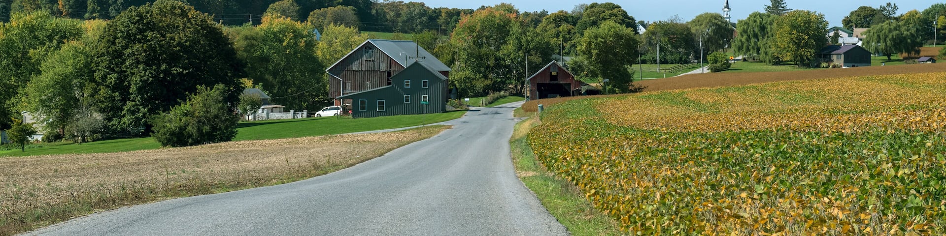 A rural road curving through a field with barns and trees.