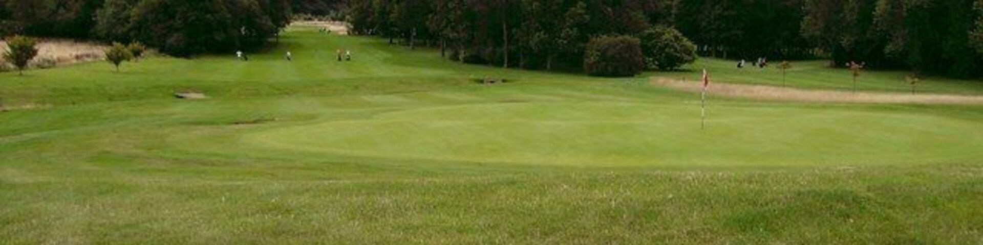 A golf course with a putting green, sand bunkers, and trees in the background.