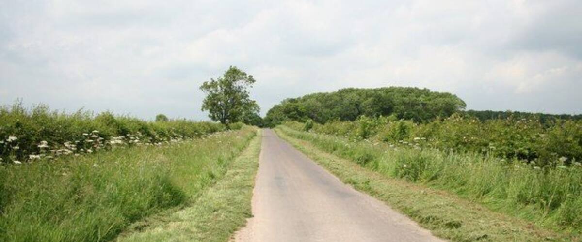 A rural road flanked by fields and a distant hill.
