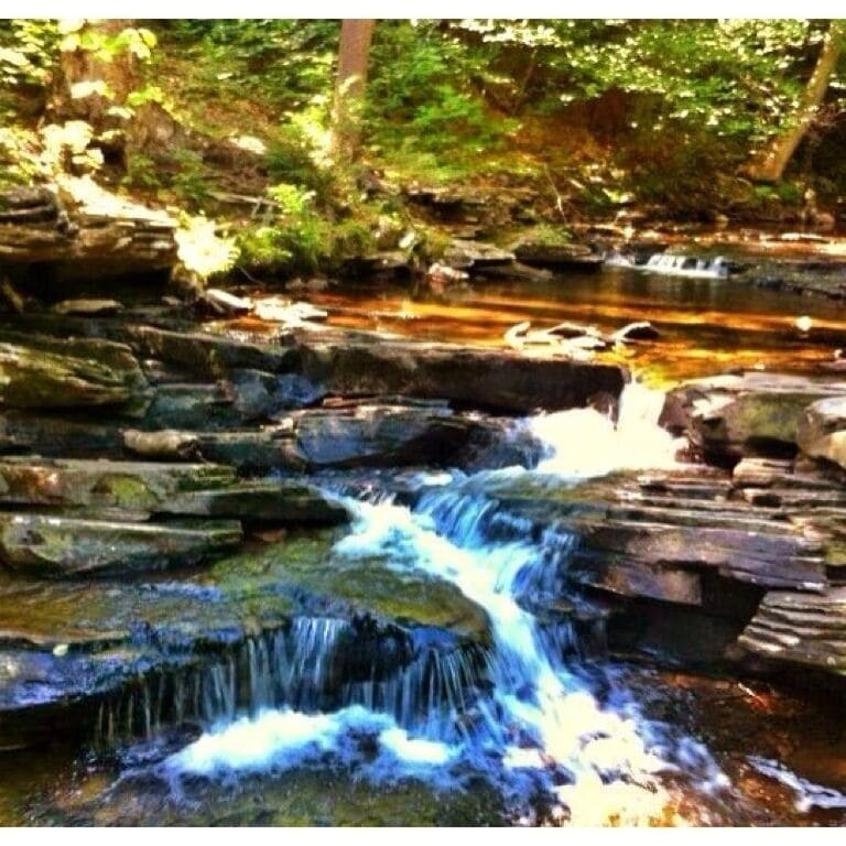 Excellent trails, lots of wildlife, clean park.