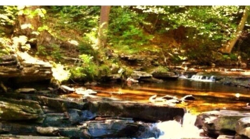 Excellent trails, lots of wildlife, clean park.