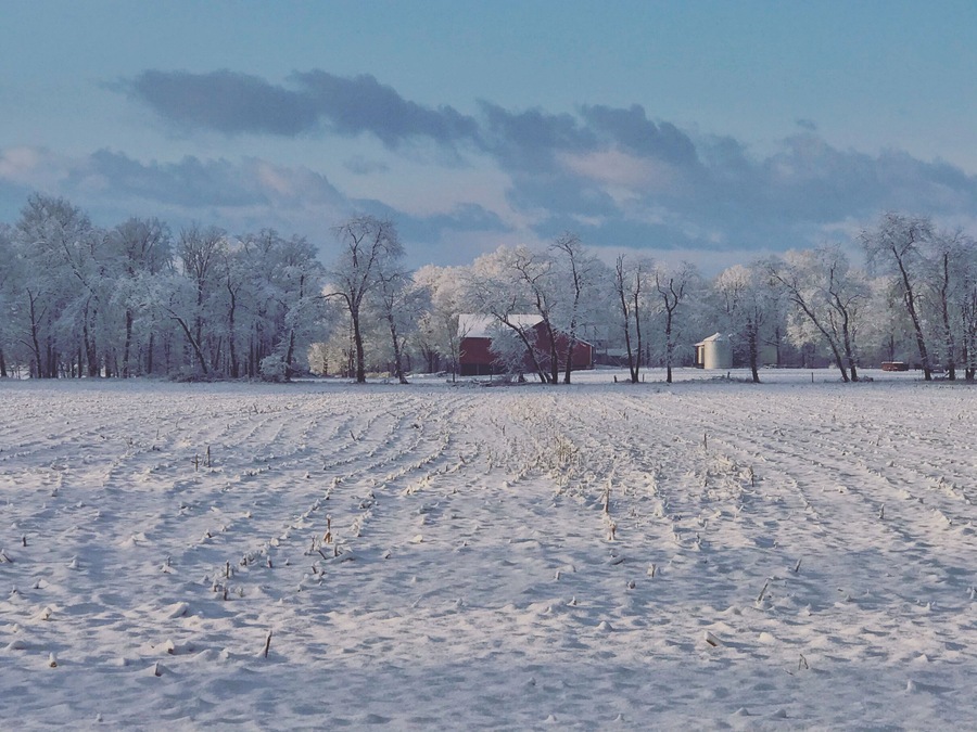 A snowy morning recently here in central Pennsylvania.