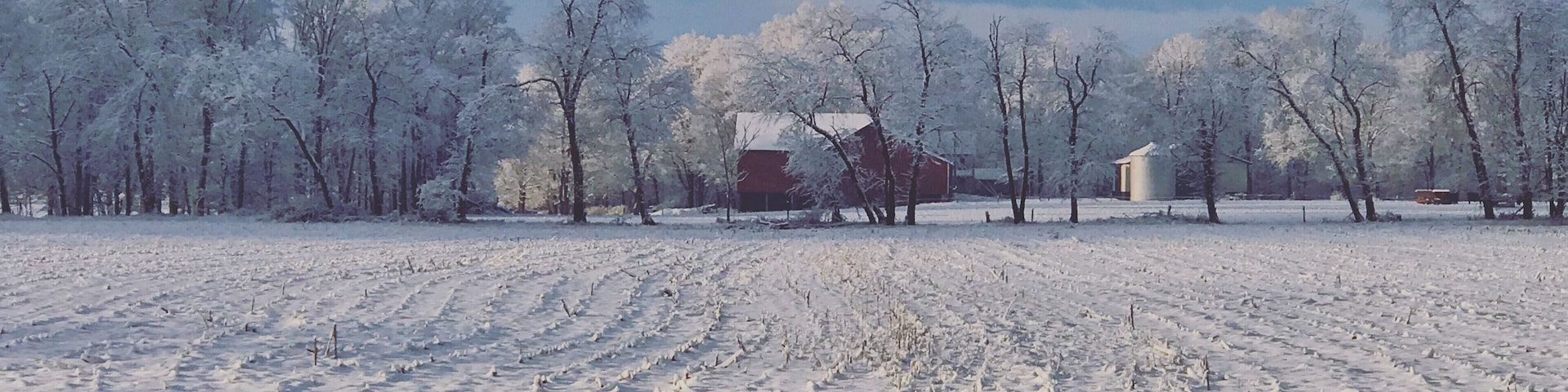 A snowy morning recently here in central Pennsylvania.