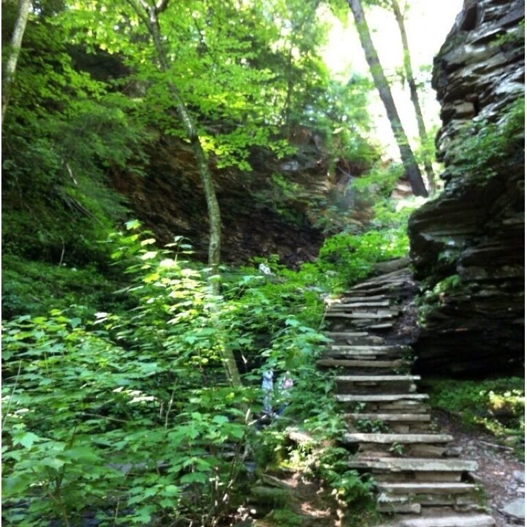 Excellent trails, lots of wildlife, clean park.