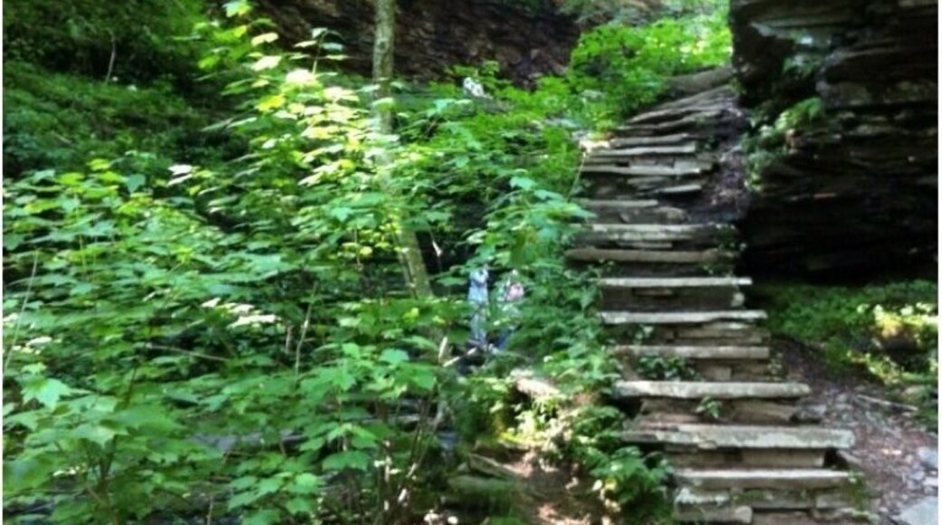 Excellent trails, lots of wildlife, clean park.