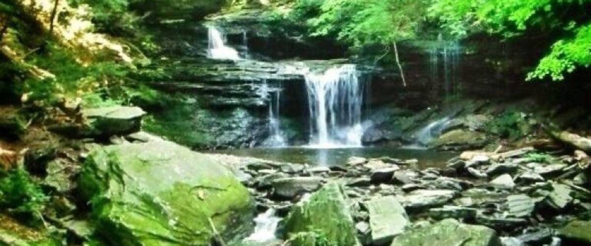 Excellent trails, lots of wildlife, clean park.