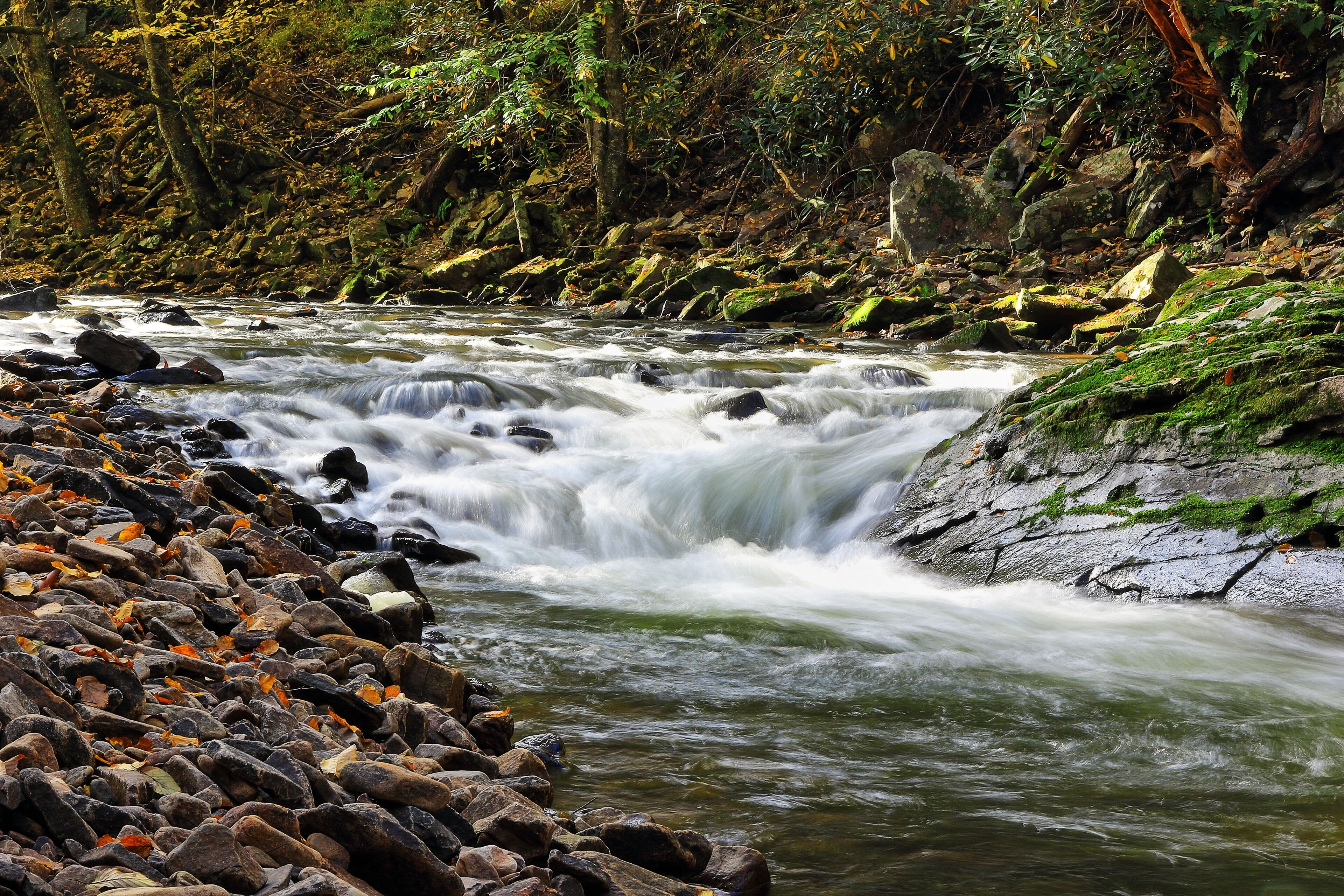 A fast-flowing river with rocks and autumn leaves.
