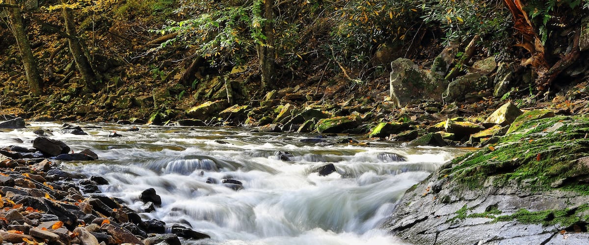 A fast-flowing river with rocks and autumn leaves.