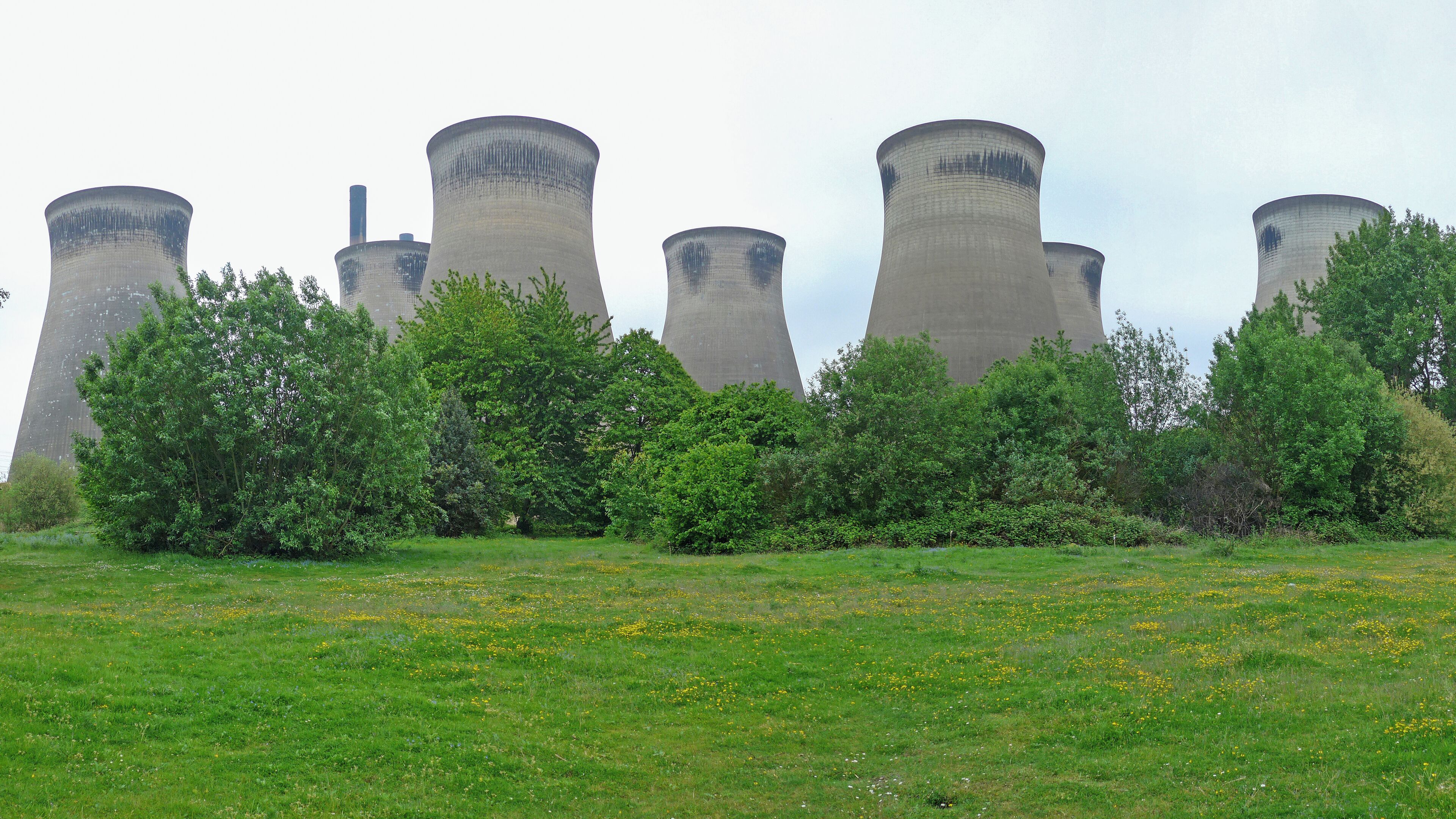 Cooling towers of a power plant surrounded by green trees and a grassy field with yellow flowers.