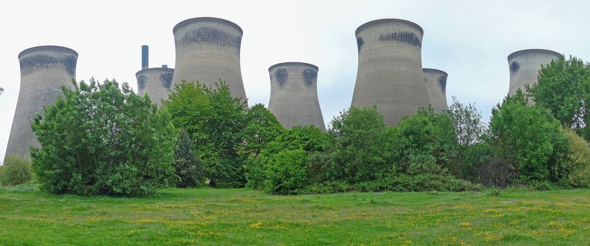 Cooling towers of a power plant surrounded by green trees and a grassy field with yellow flowers.