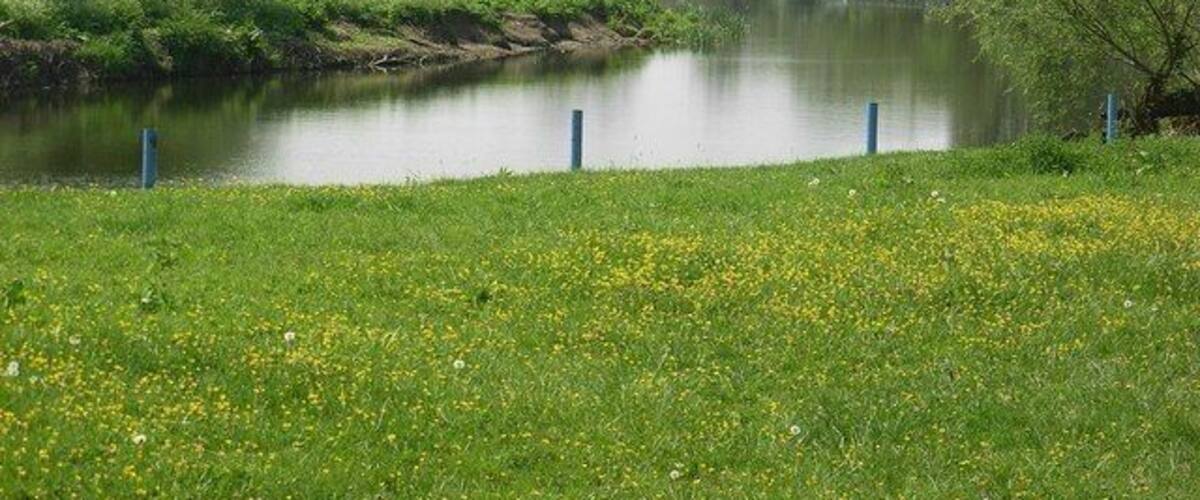 Craycombe Turn On the River Avon. The blue bollards are from the Avon Navigation Trust moorings.