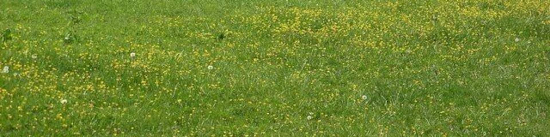 Craycombe Turn On the River Avon. The blue bollards are from the Avon Navigation Trust moorings.
