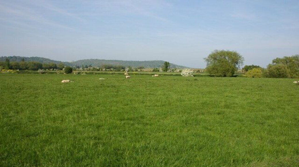 River meadows at Fladbury River meadows on the banks of the River Avon at Fladbury. The hill in the background is Tunnel Hill at Wood Norton.