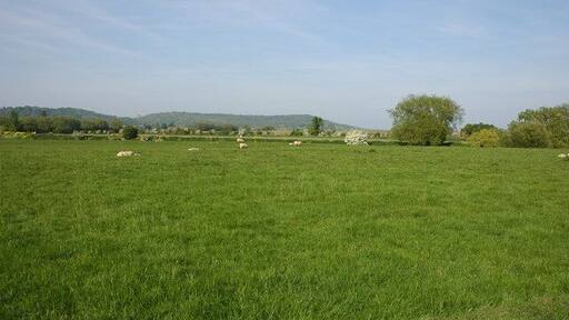 River meadows at Fladbury River meadows on the banks of the River Avon at Fladbury. The hill in the background is Tunnel Hill at Wood Norton.