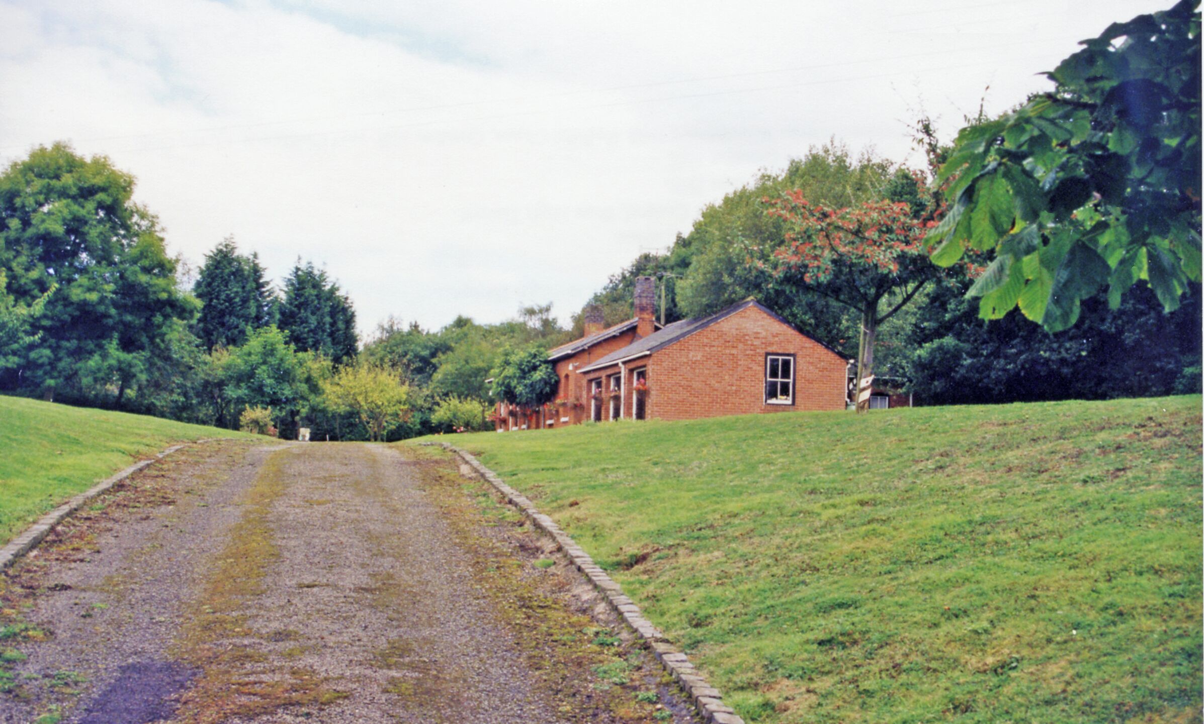 A rural road leading to a brick house surrounded by lush greenery and trees.
