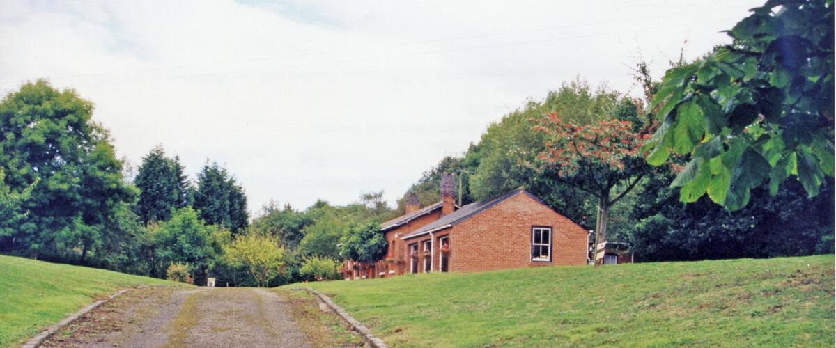 A rural road leading to a brick house surrounded by lush greenery and trees.