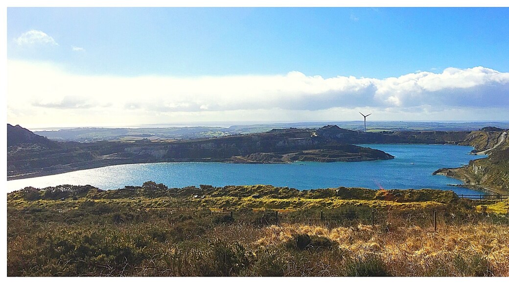 St Austell Clay Pits, are a group of locations within St Austell,Cornwall china clay quarries that are mostly closed now with a Site of Special Scientific Interest and Special Area of Conservation, noted for its biological characteristics