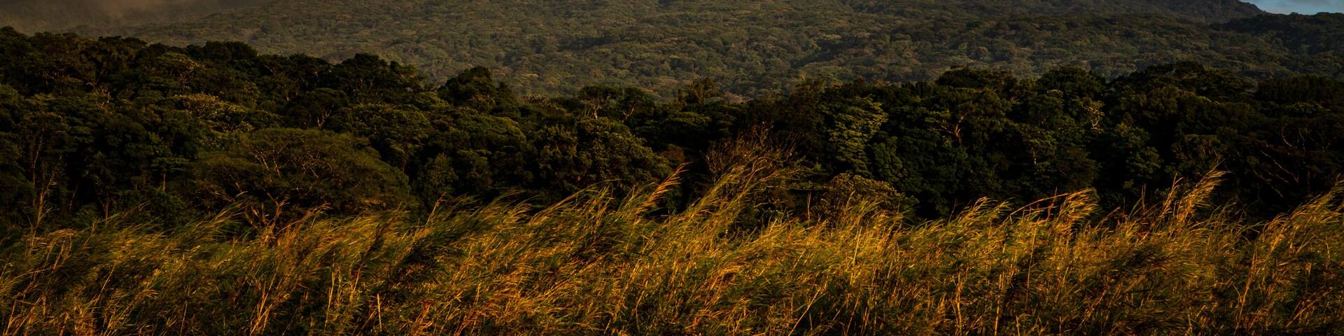 Rincón de la Vieja is an active andesitic complex volcano in north-western Costa Rica about 23km from Liberia, in the province of Guanacaste