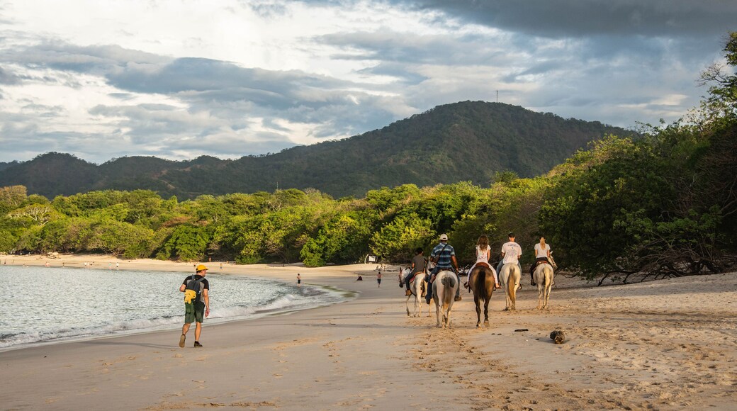 Veintisiete de Abril