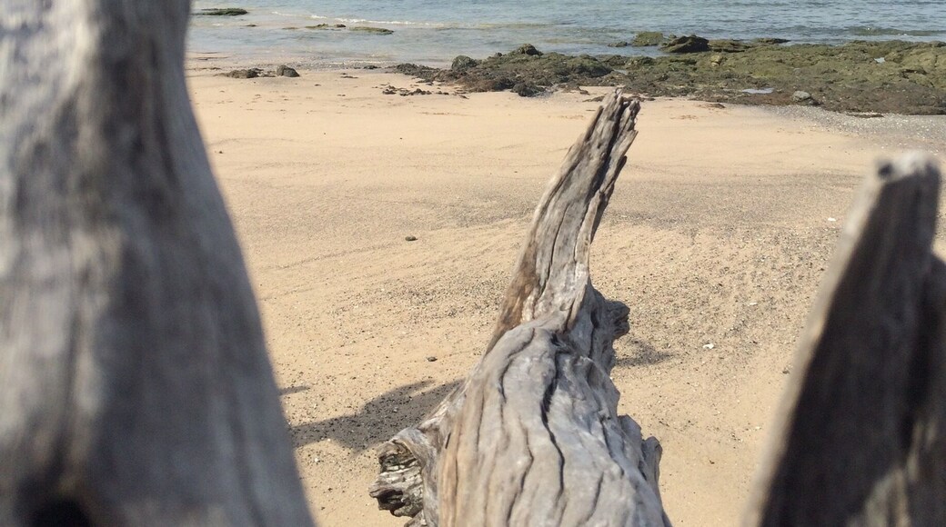 Avellanas. Always a great healing spot. #colorful beach always sunny mornings even during rainy season. #costarica #costaricaoneandonly