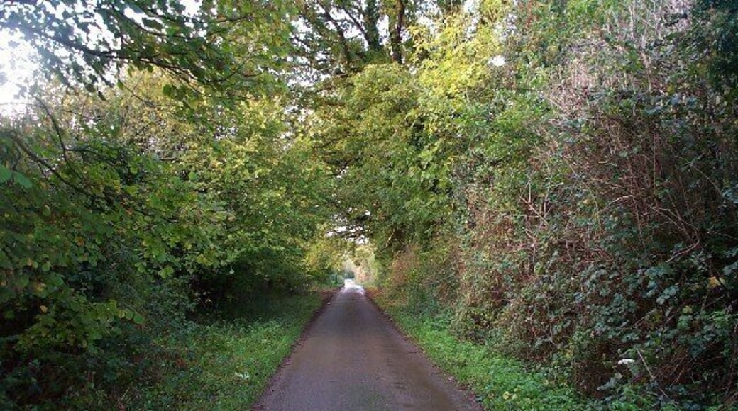 Looking north from Traphole. A rather inelegant name for a beautiful area! The lane follows the track of an old dismantled mineral line.