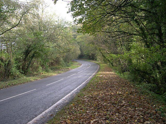The A374 east of Sheviock. This stretch of road between the villages of Antony and Polbathic cuts through the low-lying mainly wooded countryside along the south side of Lynher River estuary. Its open curves and good cambers make it a favourite with motor cyclists.