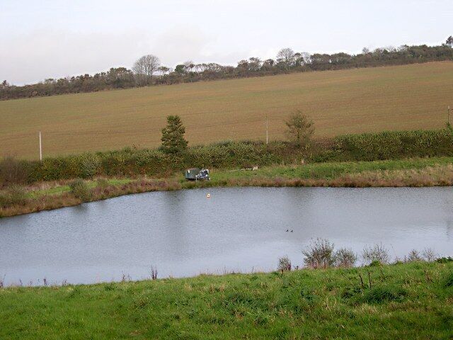 Pond near Sheviock This is an artificial pond, presumably for fishing.