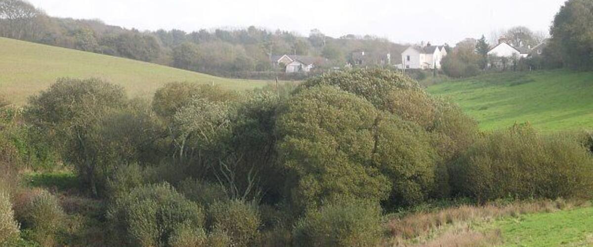 A river, dense trees, and houses in a rural landscape.
