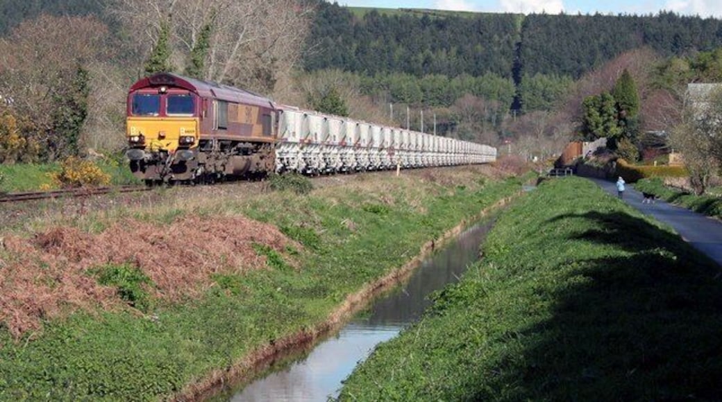 Clay from Rocks for Fowey Docks 66009 hauls the clay for export from Fowey Docks at St Blazey by the canal in the morning sun.