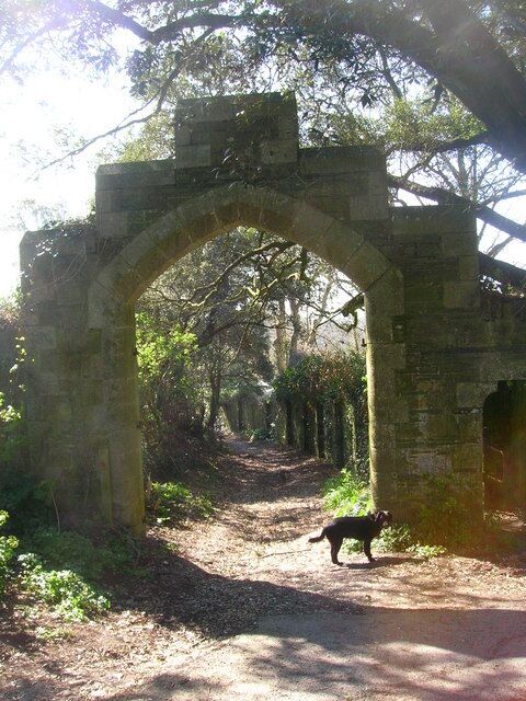 An old stone archway in a forested area with a dog walking nearby.