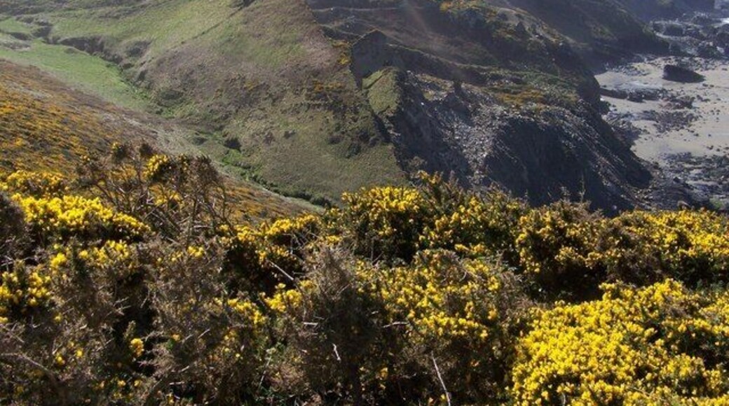 The Mountain A major landslip on the seaward side of The Mountain, and the mining activity of past years beyond it, overlooks Tregardock Beach