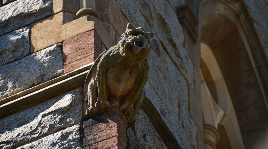 Gargoyle on the watch!