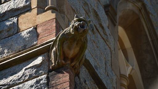 Gargoyle on the watch!