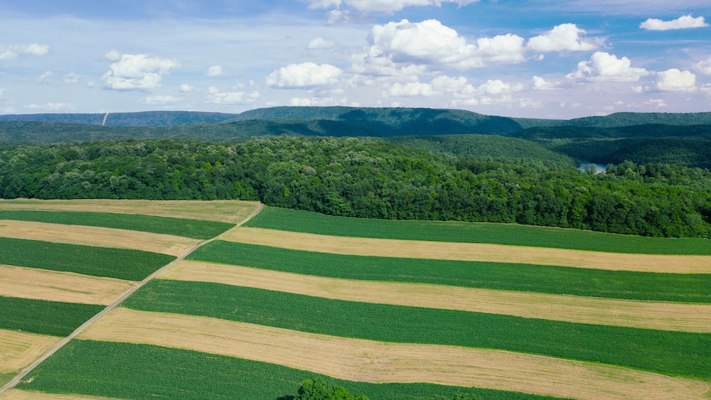 Eine Landschaft mit sanften, grünen Hügeln, einem Fluss und einem bewaldeten Gebirgszug unter einem teils bewölkten Himmel.