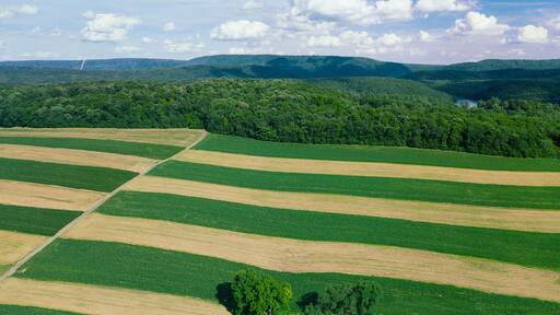 ジェームス クリーク