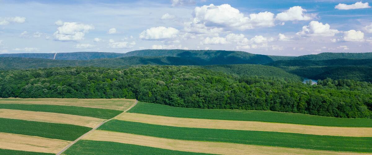 A landscape with rolling green fields, a river, and a forested mountain range under a partly cloudy sky.