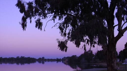 Lake Cargelligo far West NSW
Australia 🇦🇺
Mostly farming districts enduring drought conditions
