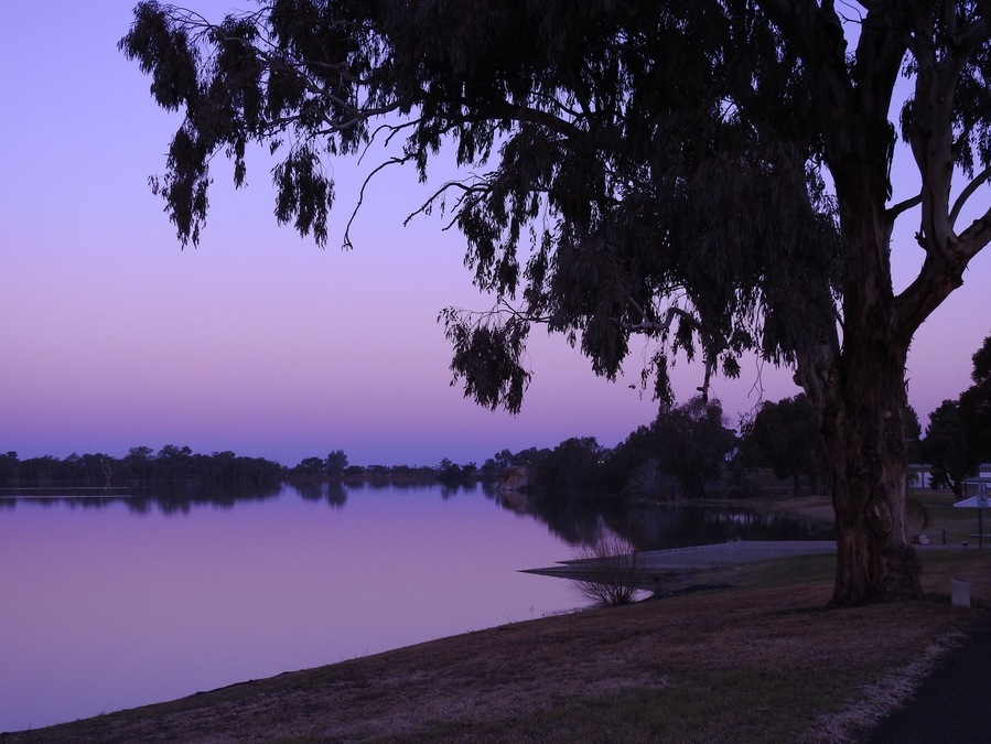 Lake Cargelligo far West NSW 
Australia 🇦🇺 
Mostly farming districts enduring drought conditions
