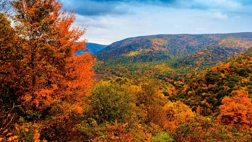 Ohiopyle State Park in Autumn, Pennsylvania