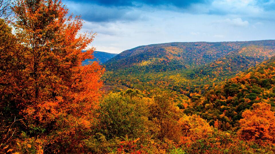 Ohiopyle State Park in Autumn, Pennsylvania