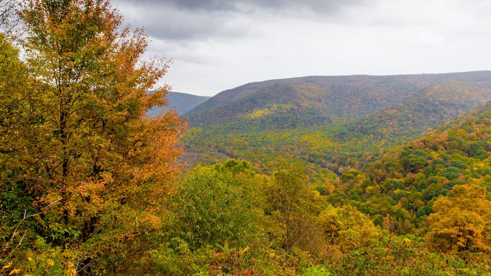 A forested mountain landscape with autumn foliage.