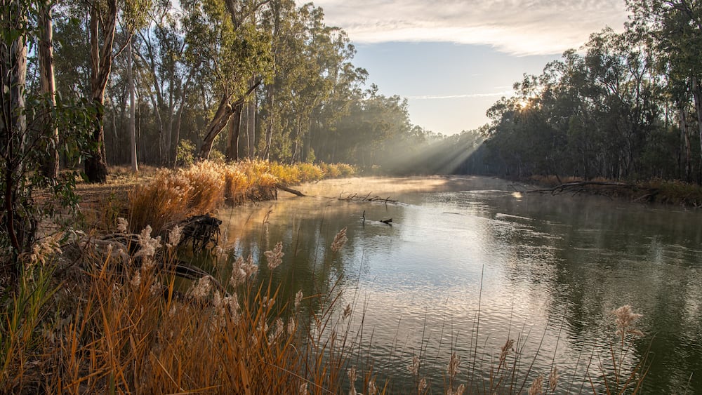 Murray River dawn NSW Australia