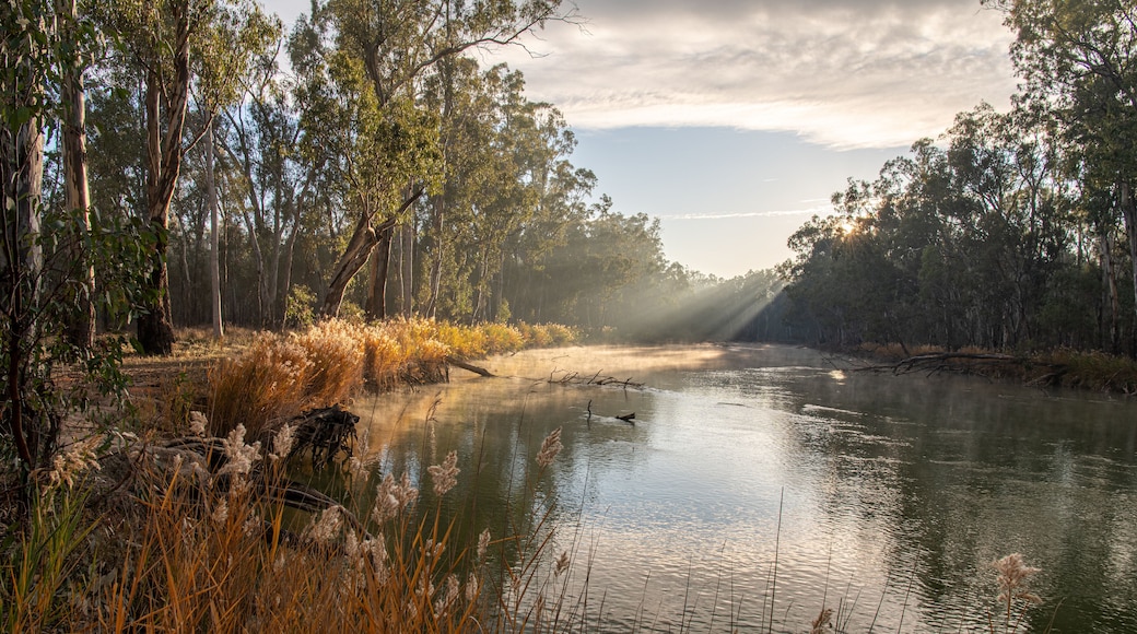 Murray River dawn NSW Australia