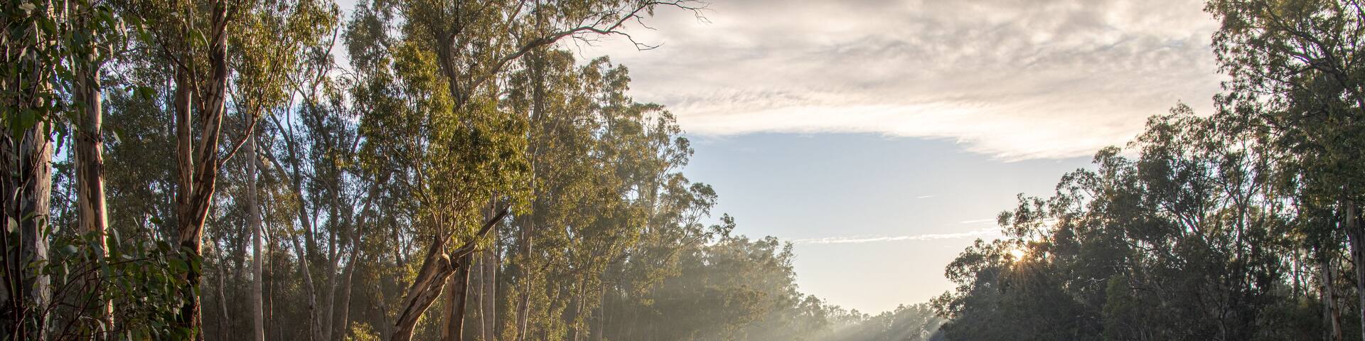 Murray River dawn NSW Australia